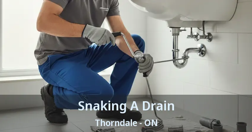 Snaking A Drain Thorndale - ON
