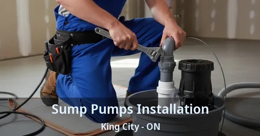 Sump Pumps Installation King City - ON