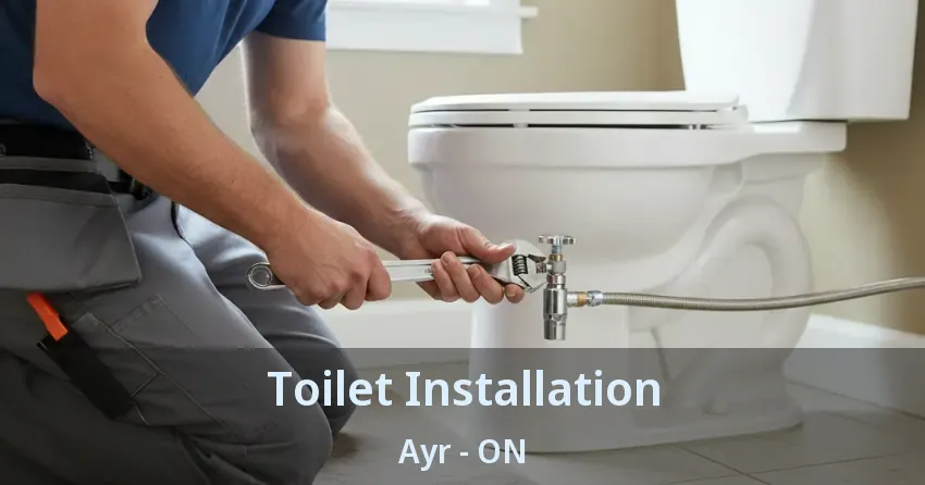Toilet Installation Ayr - ON