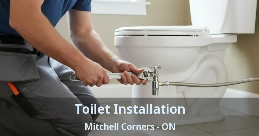 Toilet Installation Mitchell Corners - ON