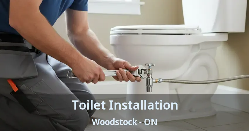 Toilet Installation Woodstock - ON