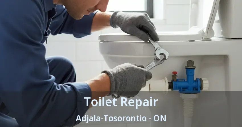 Toilet Repair Adjala-Tosorontio - ON
