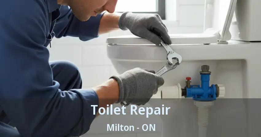 Toilet Repair Milton - ON