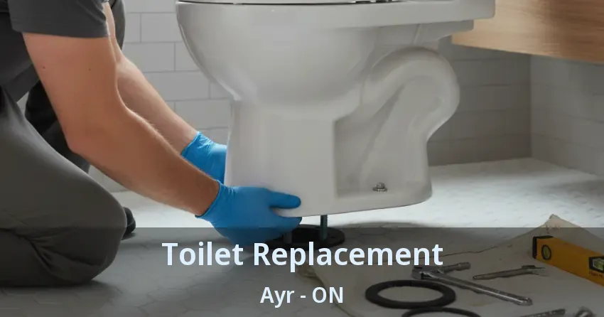 Toilet Replacement Ayr - ON