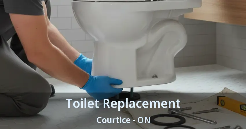 Toilet Replacement Courtice - ON