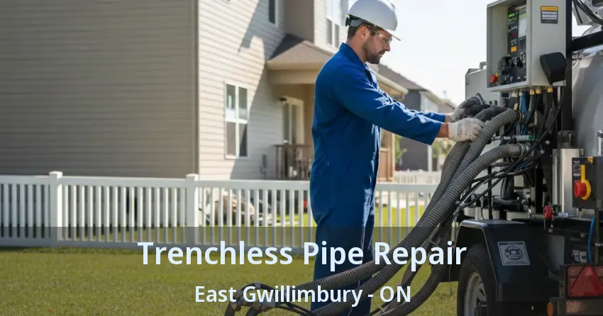 Trenchless Pipe Repair East Gwillimbury - ON