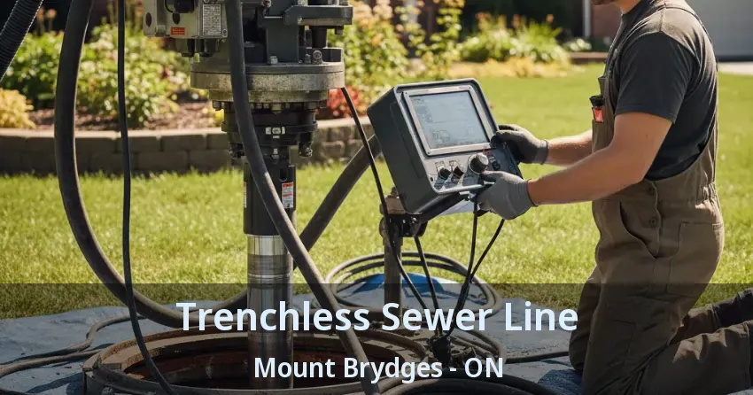 Trenchless Sewer Line Mount Brydges - ON