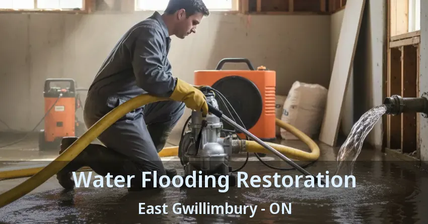 Water Flooding Restoration East Gwillimbury - ON