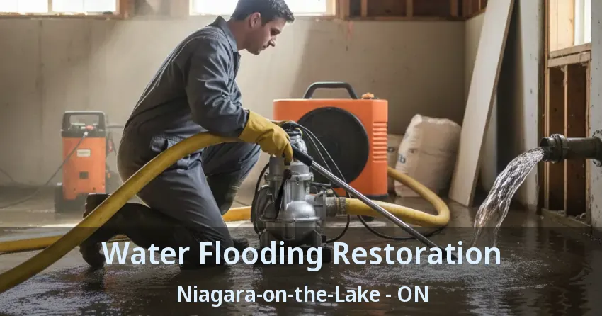 Water Flooding Restoration Niagara-on-the-Lake - ON