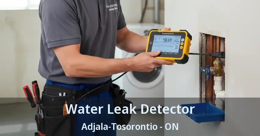Water Leak Detector Adjala-Tosorontio - ON