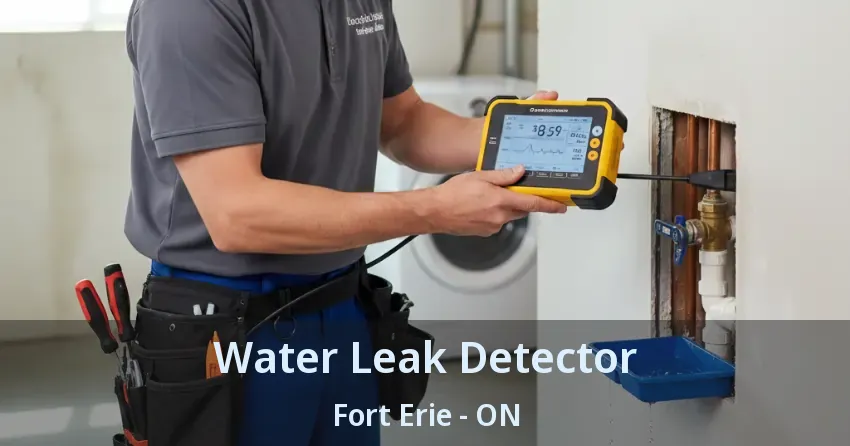 Water Leak Detector Fort Erie - ON
