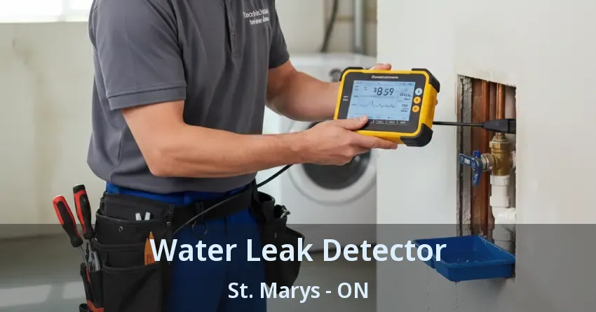 Water Leak Detector St. Marys - ON