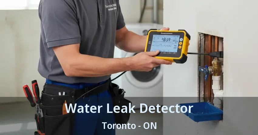 Water Leak Detector Toronto - ON