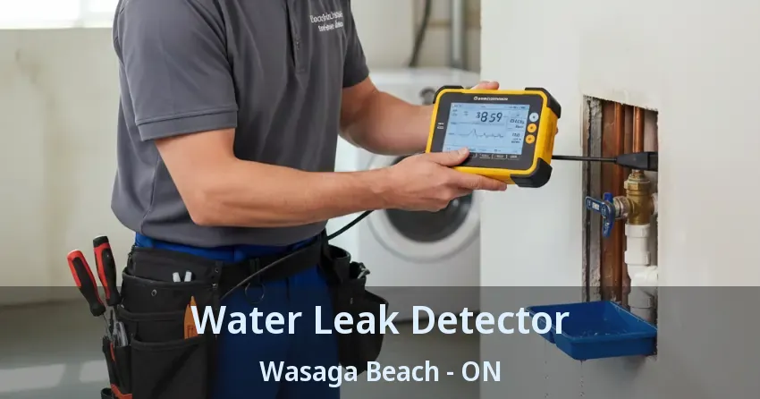 Water Leak Detector Wasaga Beach - ON