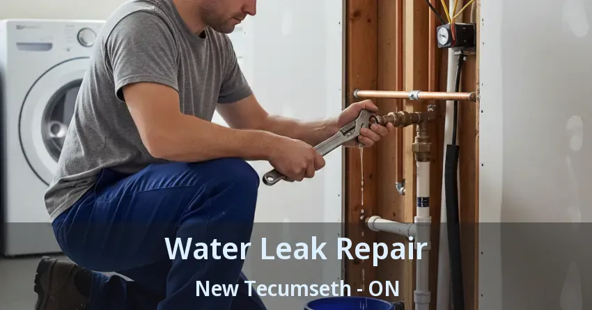 Water Leak Repair New Tecumseth - ON