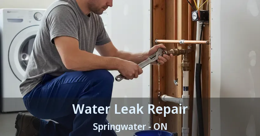 Water Leak Repair Springwater - ON