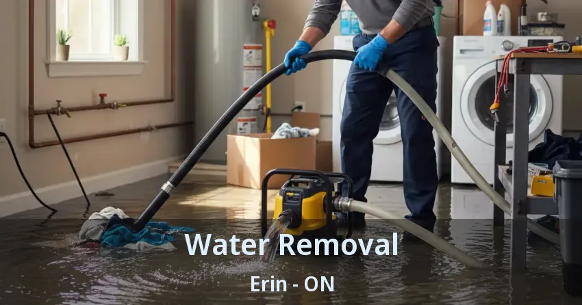 Water Removal Erin - ON