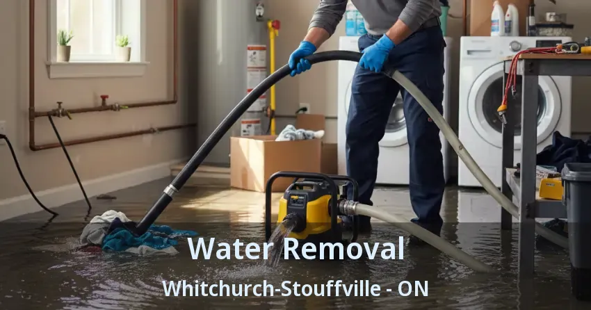 Water Removal Whitchurch-Stouffville - ON