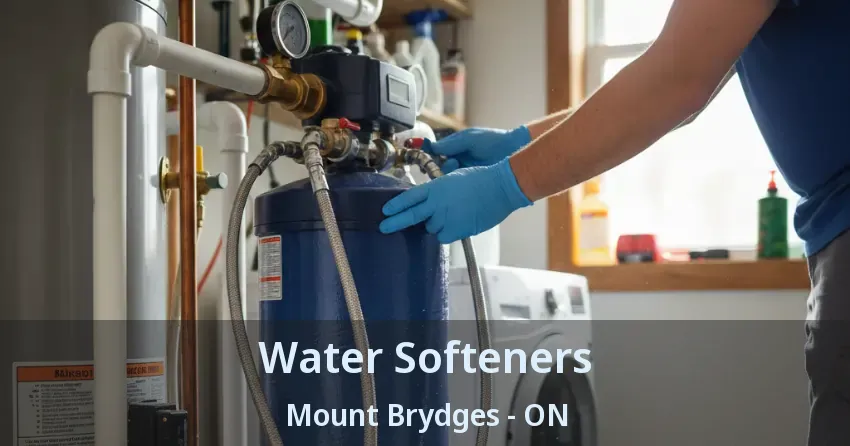 Water Softeners Mount Brydges - ON