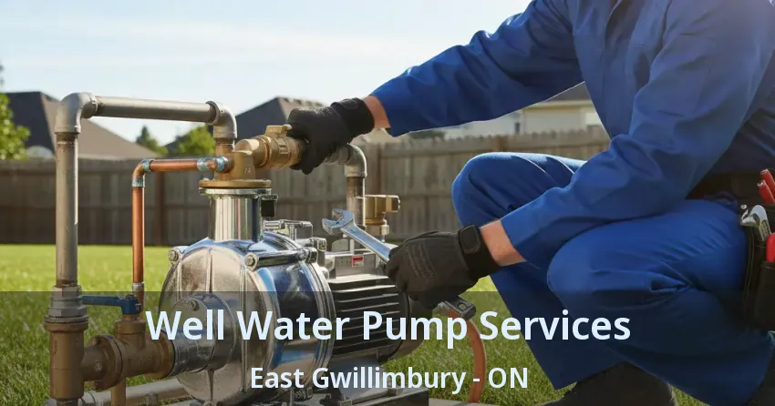 Well Water Pump Services East Gwillimbury - ON