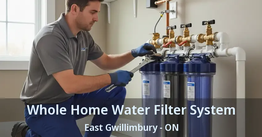 Whole Home Water Filter System East Gwillimbury - ON