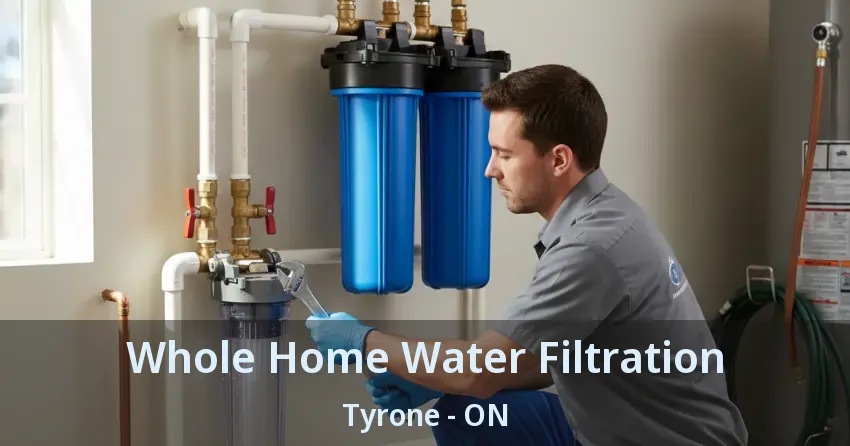 Whole Home Water Filtration Tyrone - ON