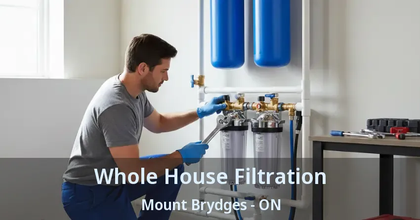 Whole House Filtration Mount Brydges - ON