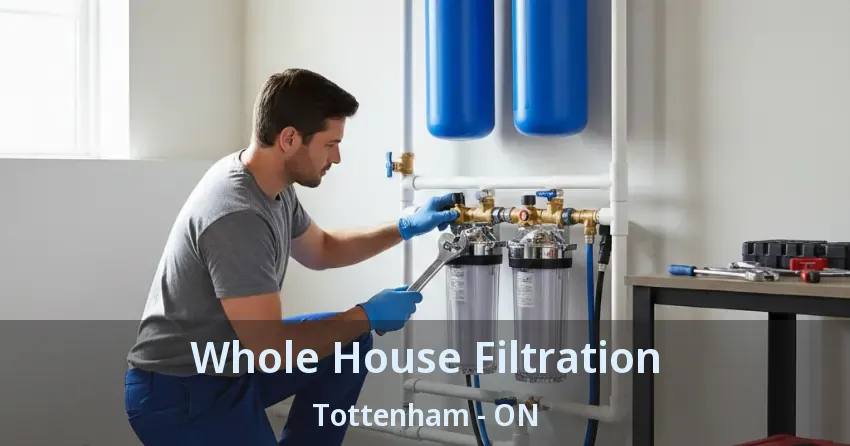 Whole House Filtration Tottenham - ON
